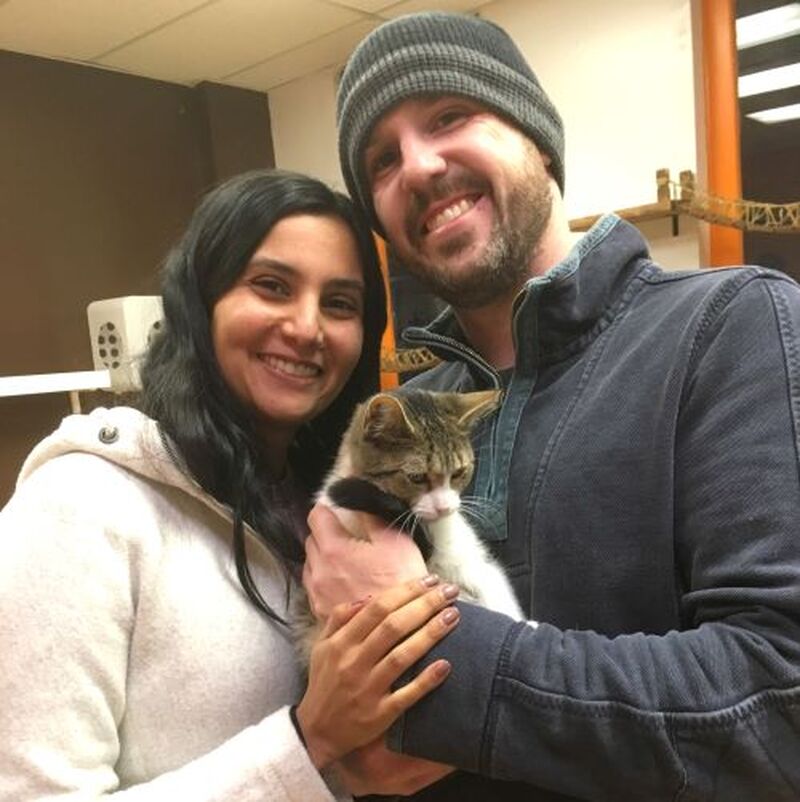 Adoption #89: Molly