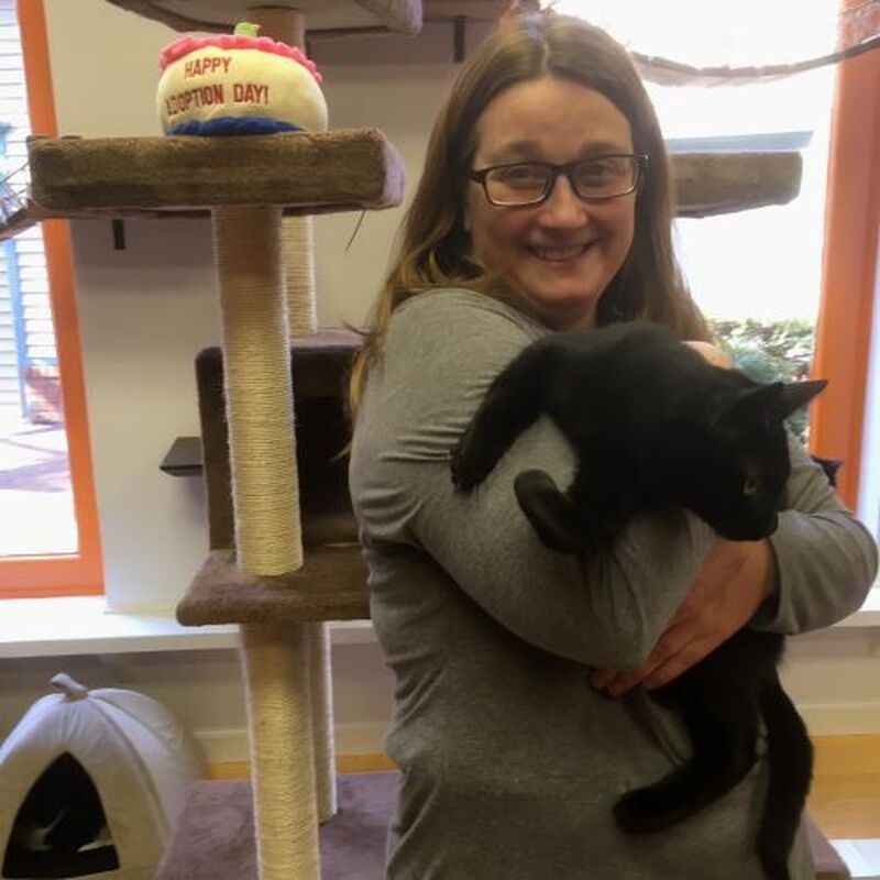 Adoption #158: Mortimor