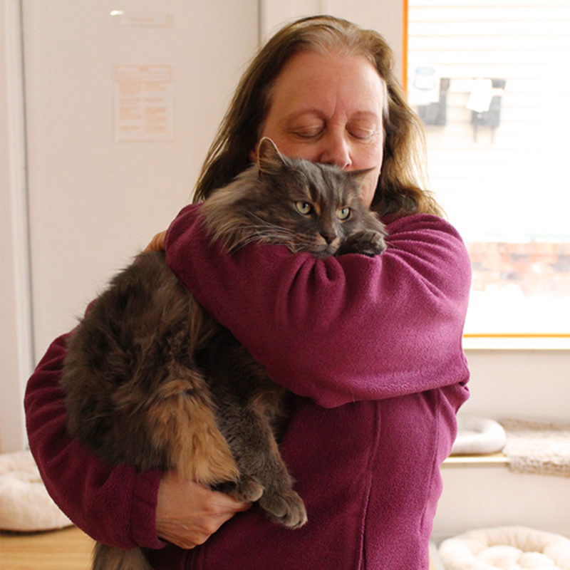 Adoption #53: Ozzy
