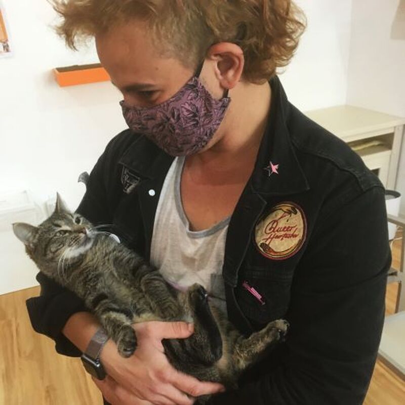 Adoption #187: Penny