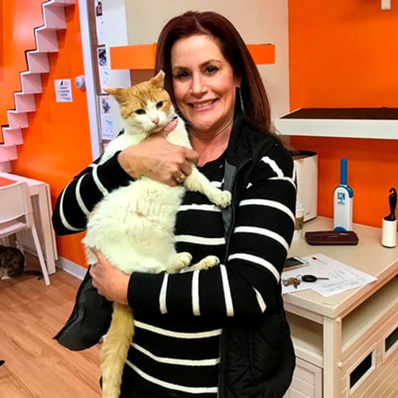 Adoption #71: Puff