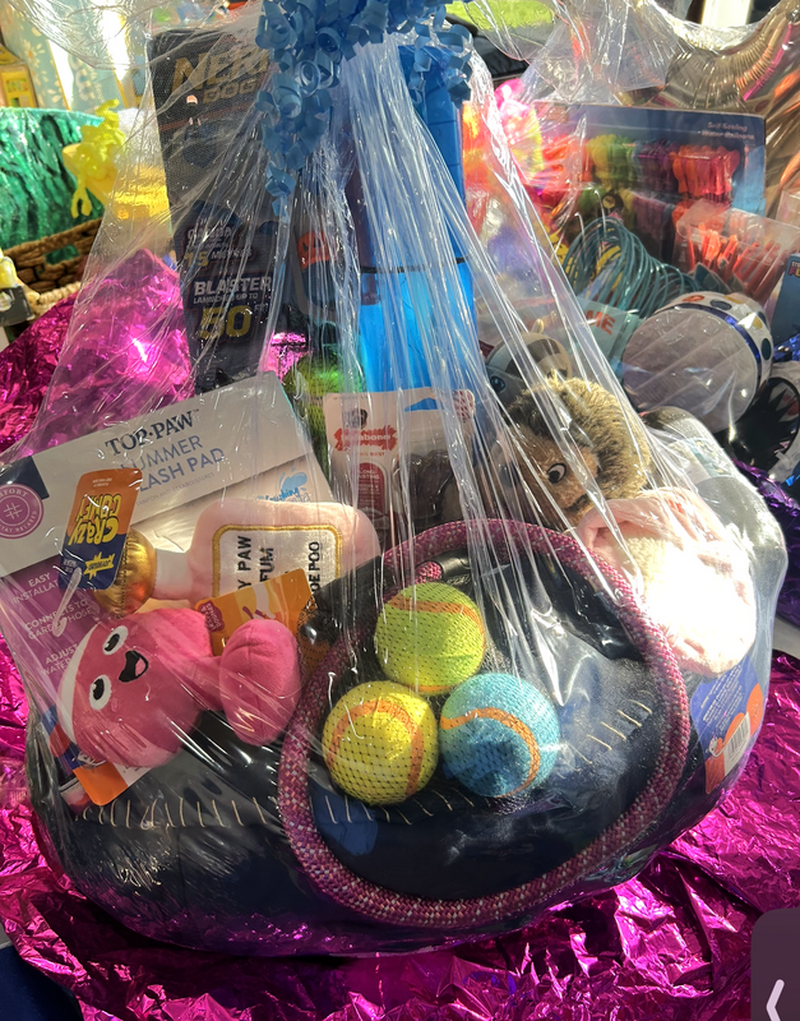 Prize #3 - Dog basket: Dog bed, summer splash pad, several stuffed toys, tennis balls