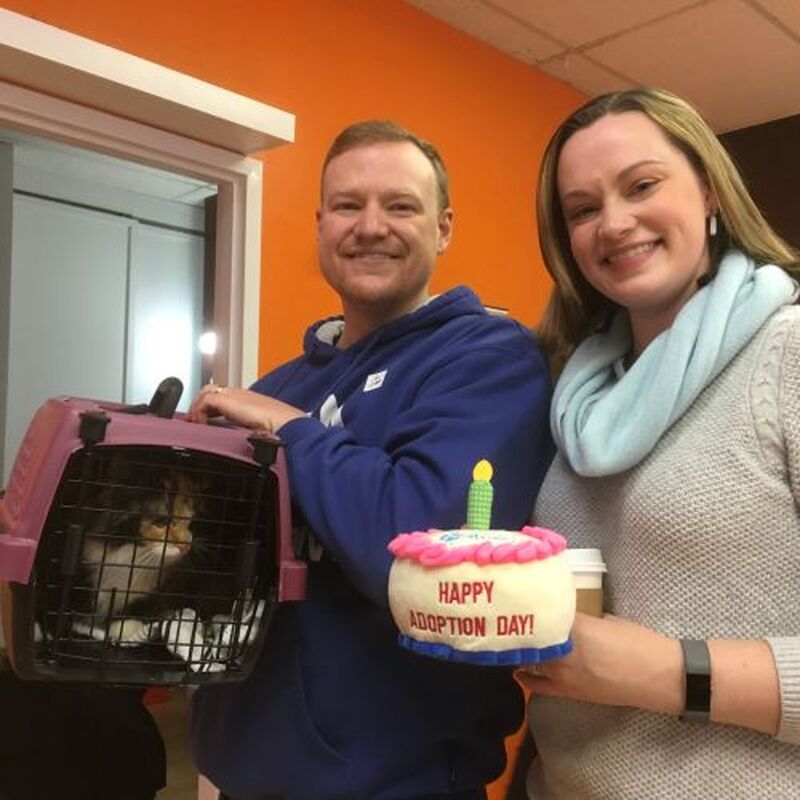 Adoption #132: Rainbow