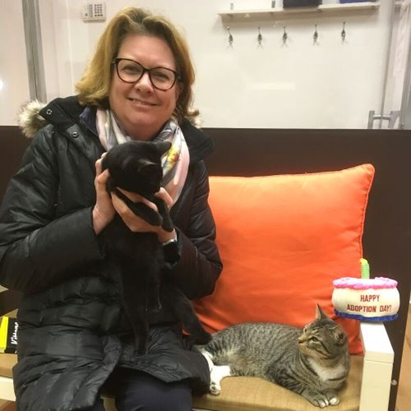 Adoption #95 & #96: Sam & Mr. Bigglesworth