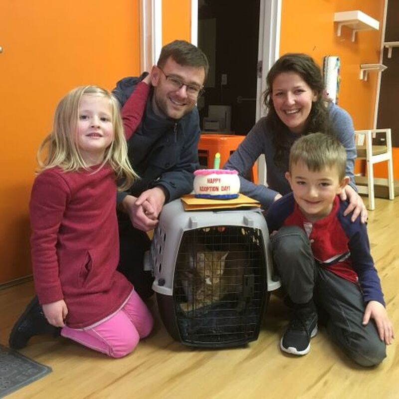 Adoption #108 & #109: Sanford & Sonny
