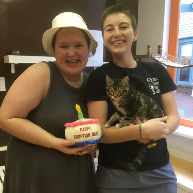 Adoption #172: Sheldon