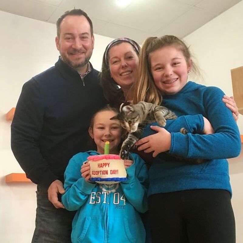 Adoption #85: Sidney
