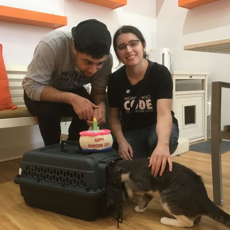Adoption #147: Skippy