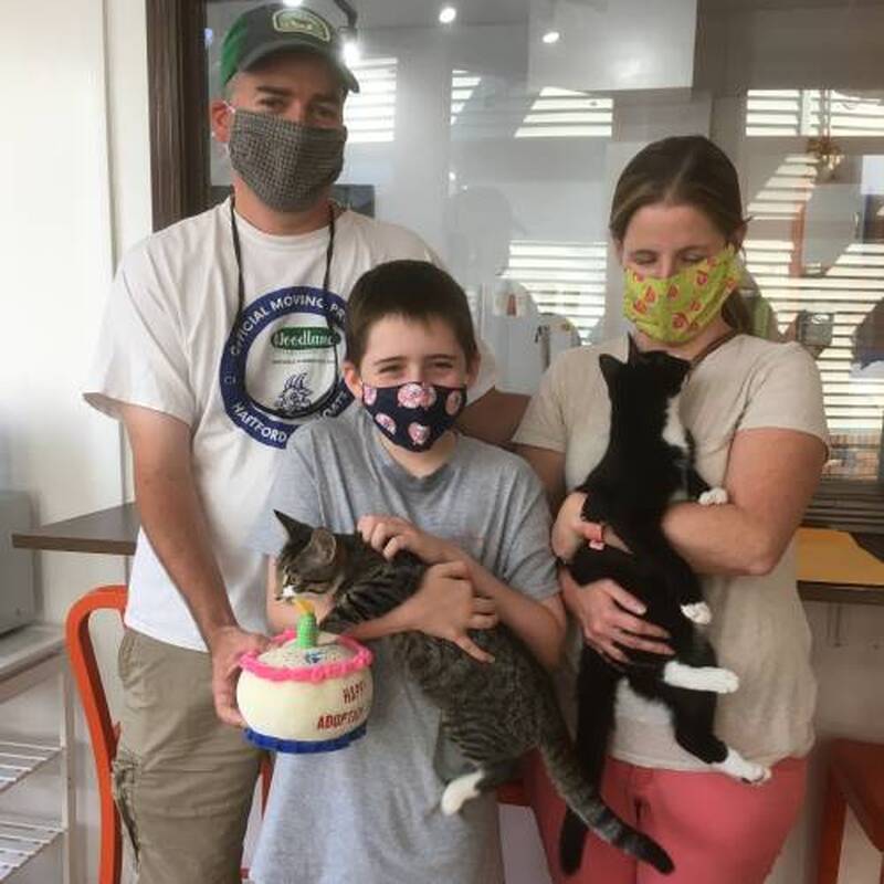 Adoption #169 & #170: Sonic & Stella