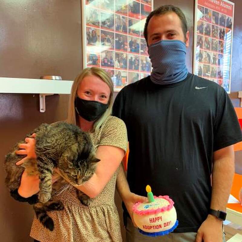 Adoption #179: Sweetie