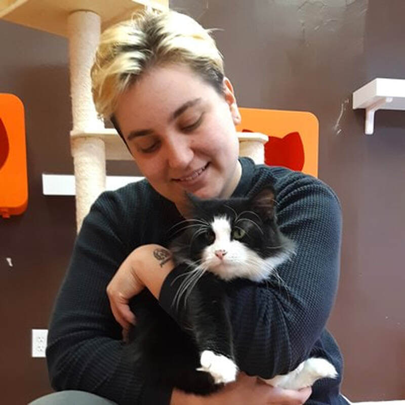 Adoption #67: Sylvester
