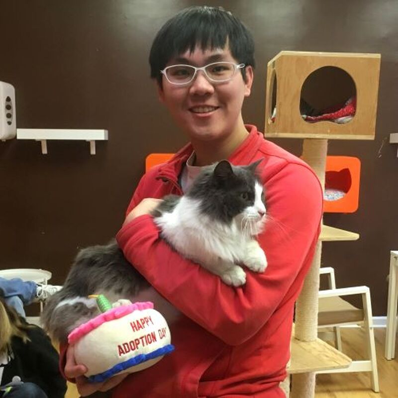 Adoption #134: Sylvia