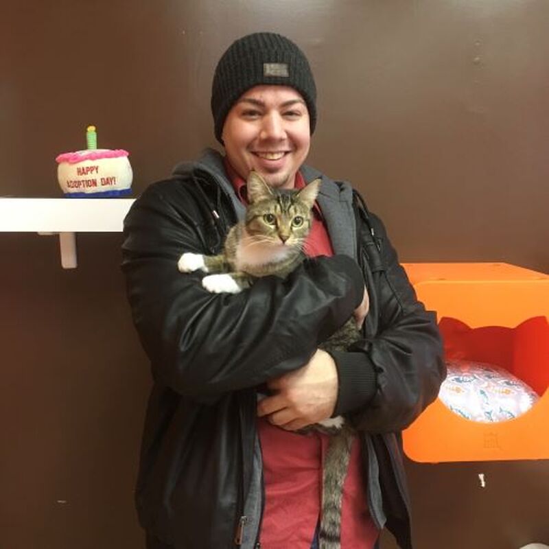 Adoption #84: Tally
