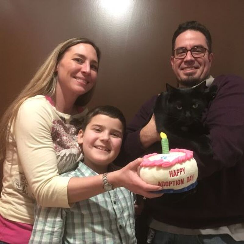 Adoption #152: Tavish
