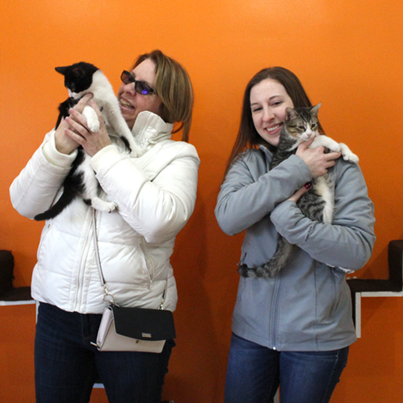 Adoptions #50 & #51: Telly & Archie
