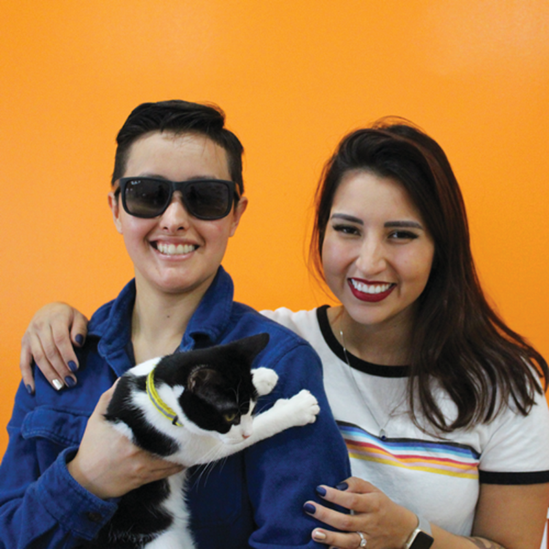 Adoption #22: Tiggs
