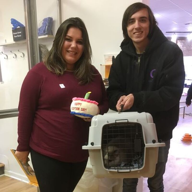 Adoption #107: Ting