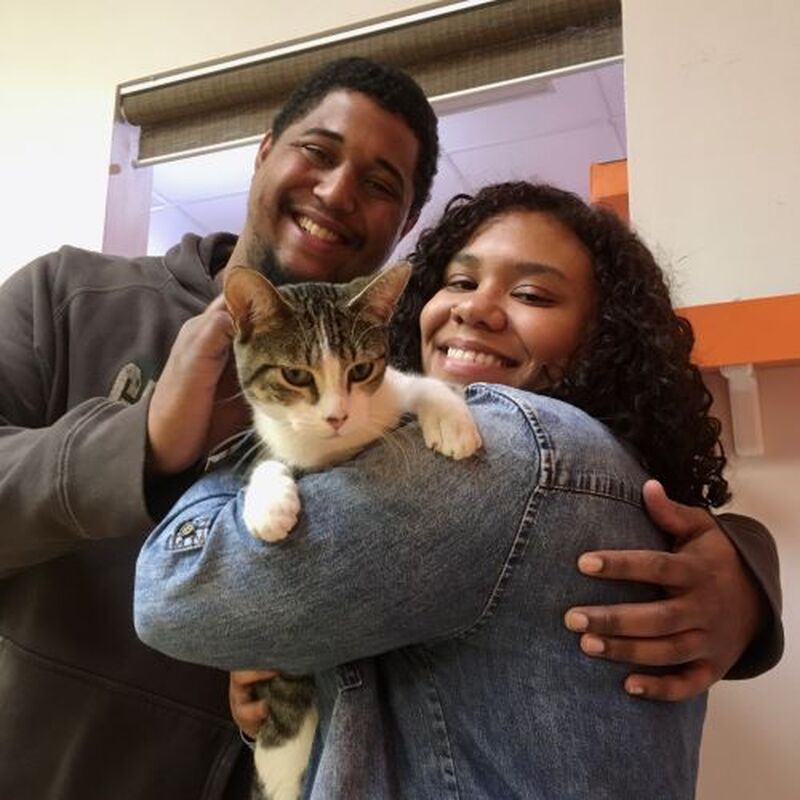 Adoption #93: Trouble