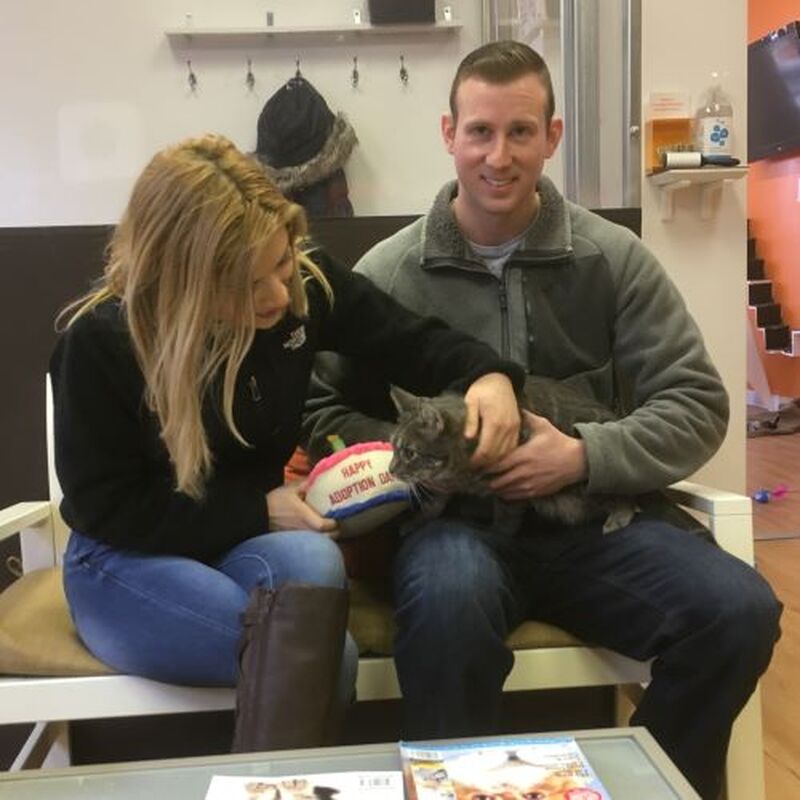Adoption #140: Willy